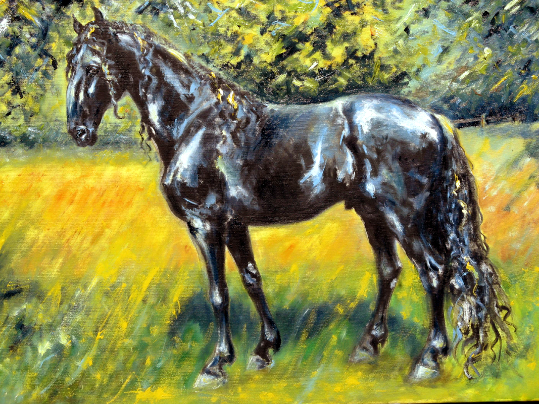 portrét kladrubský kůň, kůň v krajině, obraz na zakázku, ručně malovaný, obraz na stěnu, olej na plátně, malba od umělce, česká malířka, galerie obrazů zvířat, moderní umění, umělecké dílo na prodej, obraz z fotky