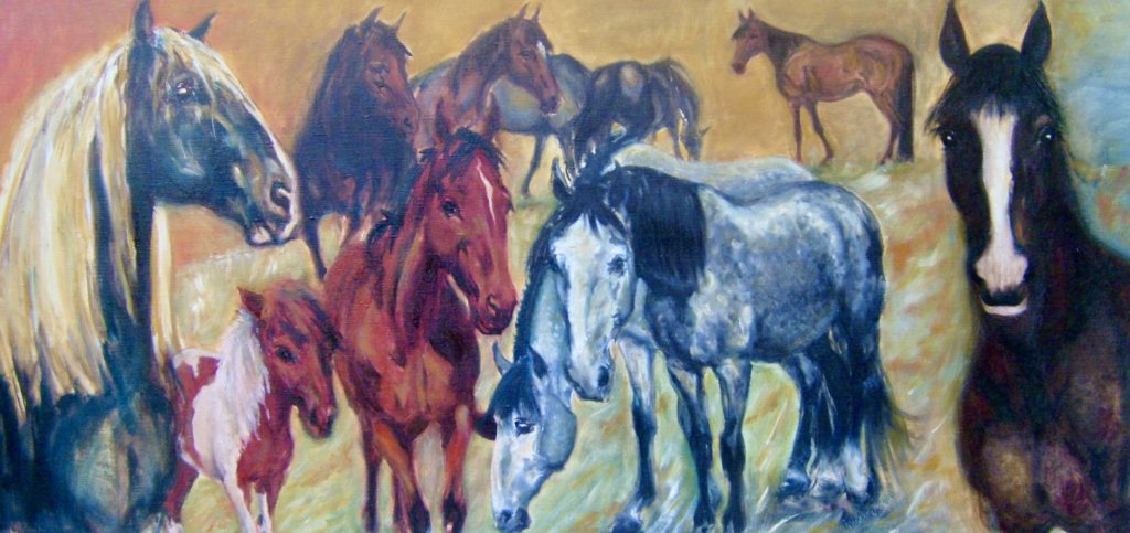 Malba různých plemen koní.
