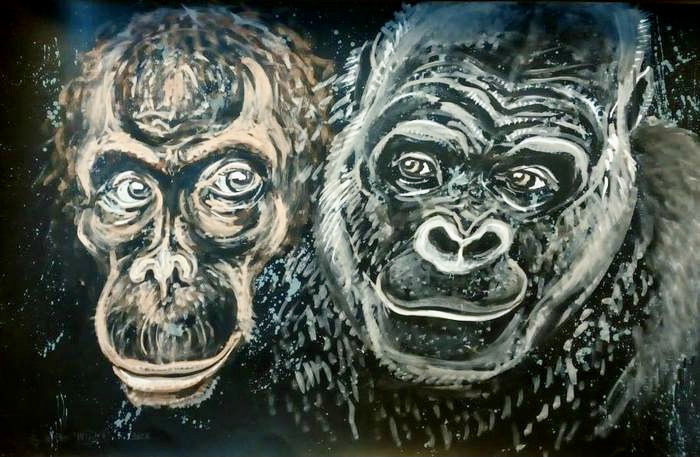 Hlavy dvou opic, oranžová hlava orangutana a šedivá hlava gorily na černém pozadí.